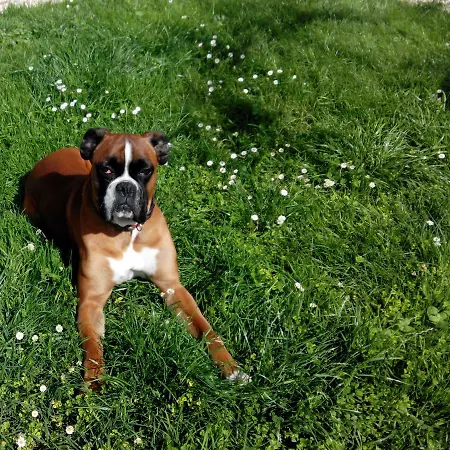 Familial -- Les Kiwis * Gémozac